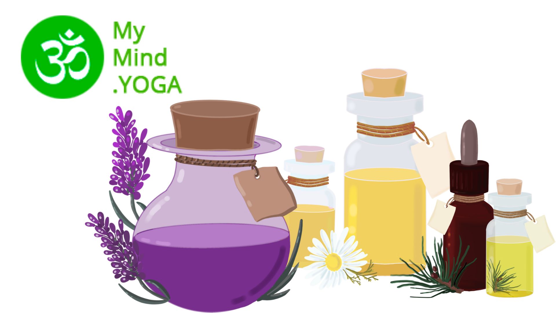 Essential oils are practically everywhere